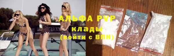 хмурый Алзамай