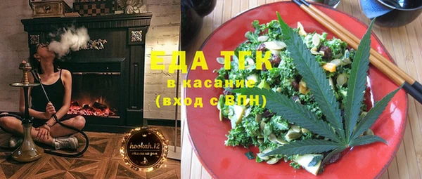хмурый Алзамай