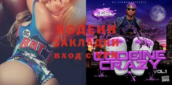 хмурый Алзамай