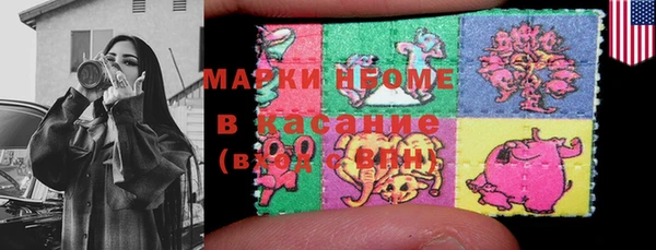 хмурый Алзамай