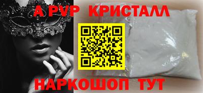 твердый Кингисепп