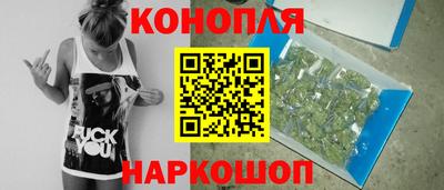 твердый Кингисепп