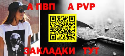 твердый Кингисепп