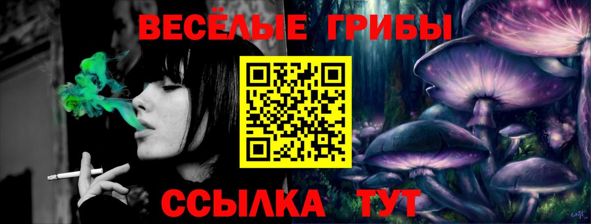 Волхов  Псилоцибиновые грибы Psilocybine cubensis  Вход с VPN  Псилоцибиновые грибы мицелий 