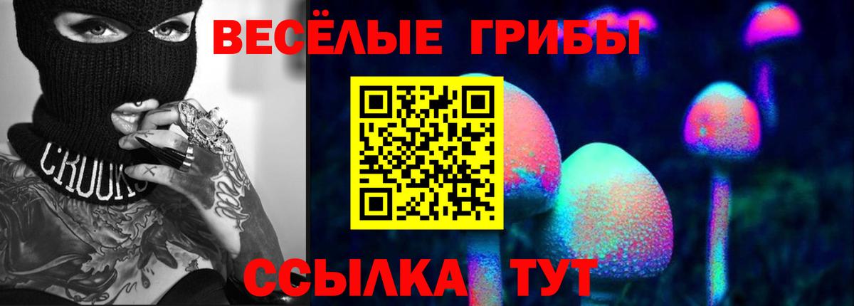 Псилоцибиновые грибы Psilocybe Волхов